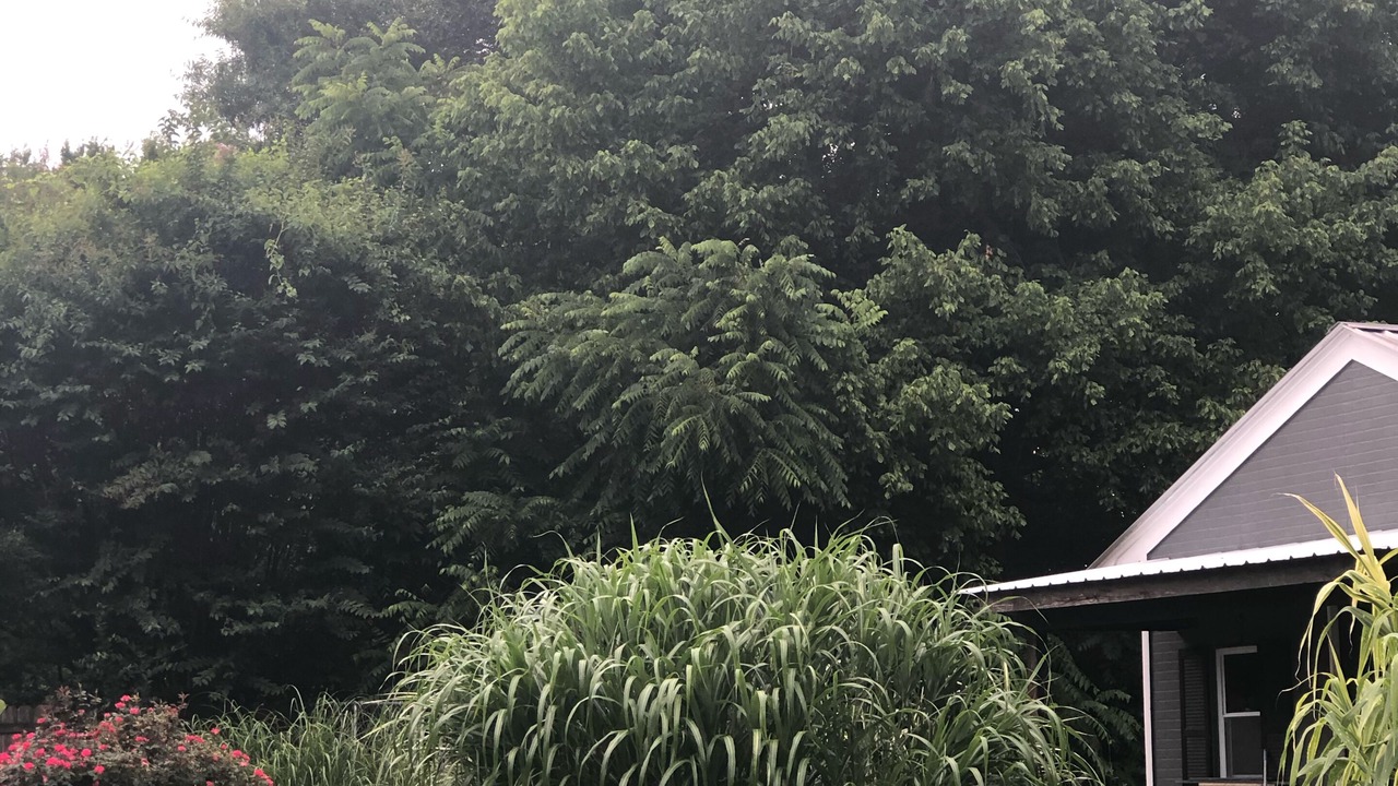 Photo of Outdoor in Lakeland