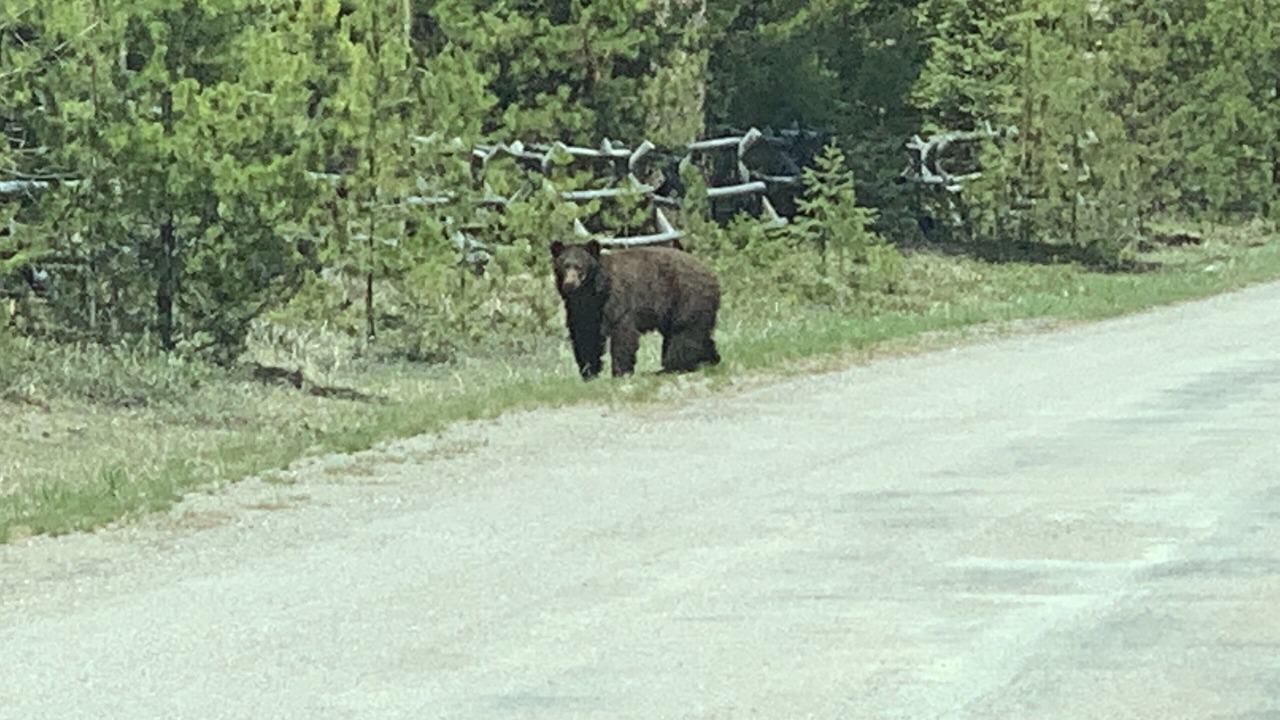 Photo of Others in Columbia Falls