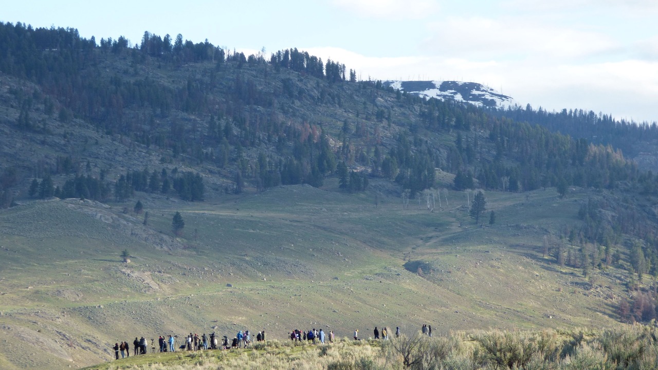 Photo of Others in Cooke City-Silver Gate