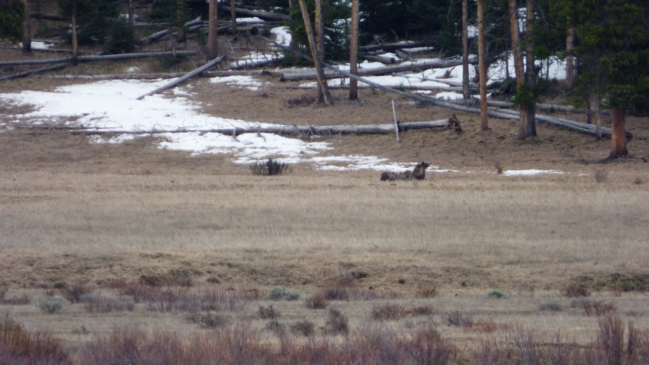 Photo of Outdoor in Cooke City-Silver Gate
