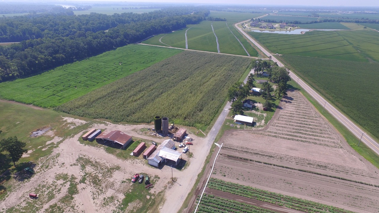 Photo of Outdoor in Marion