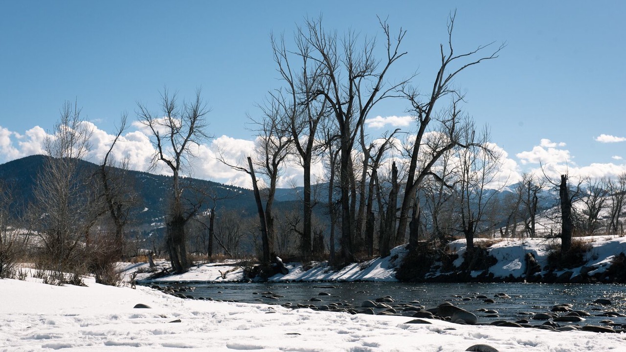 Photo of Others in Bozeman