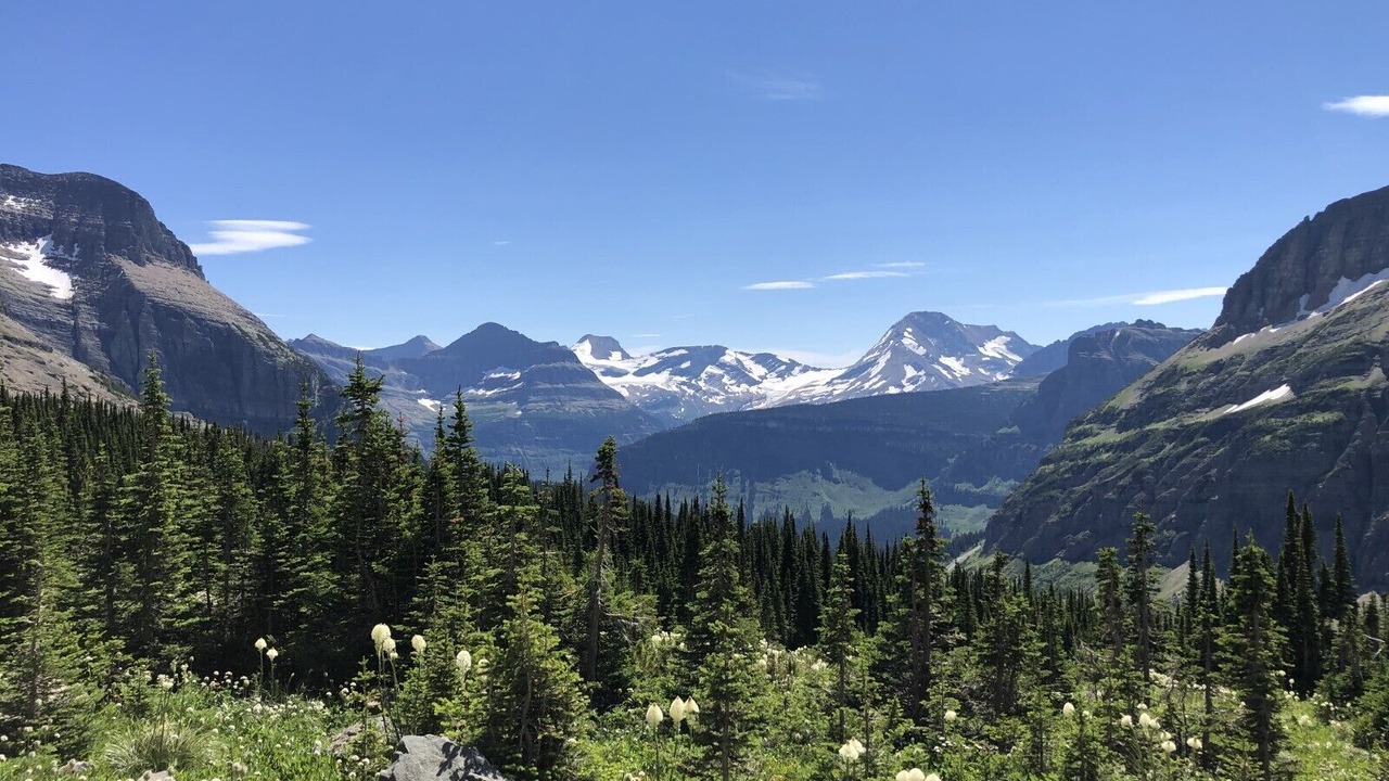 Photo of Others in West Glacier