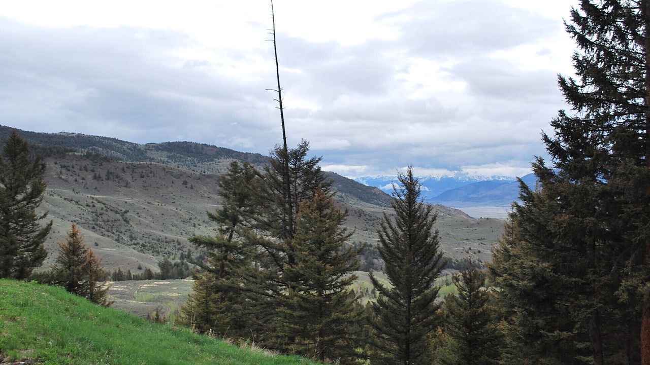 Photo of Outdoor in Emigrant