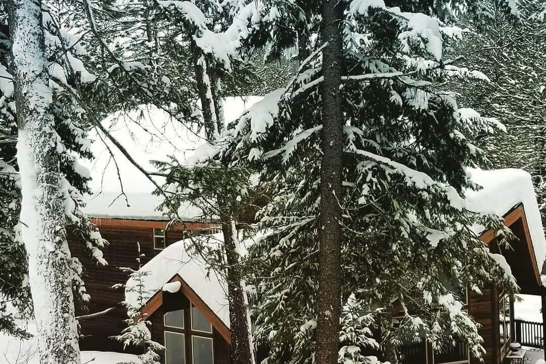 Photo of Outdoor in New Meadows