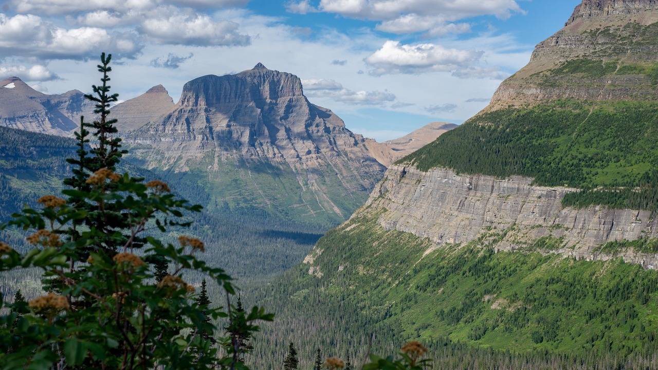 Photo of Others in West Glacier