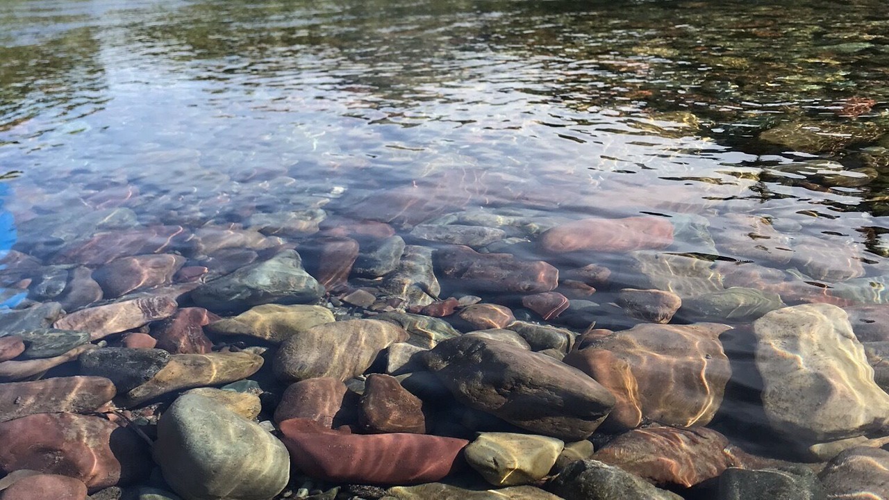 Photo of Others in West Glacier