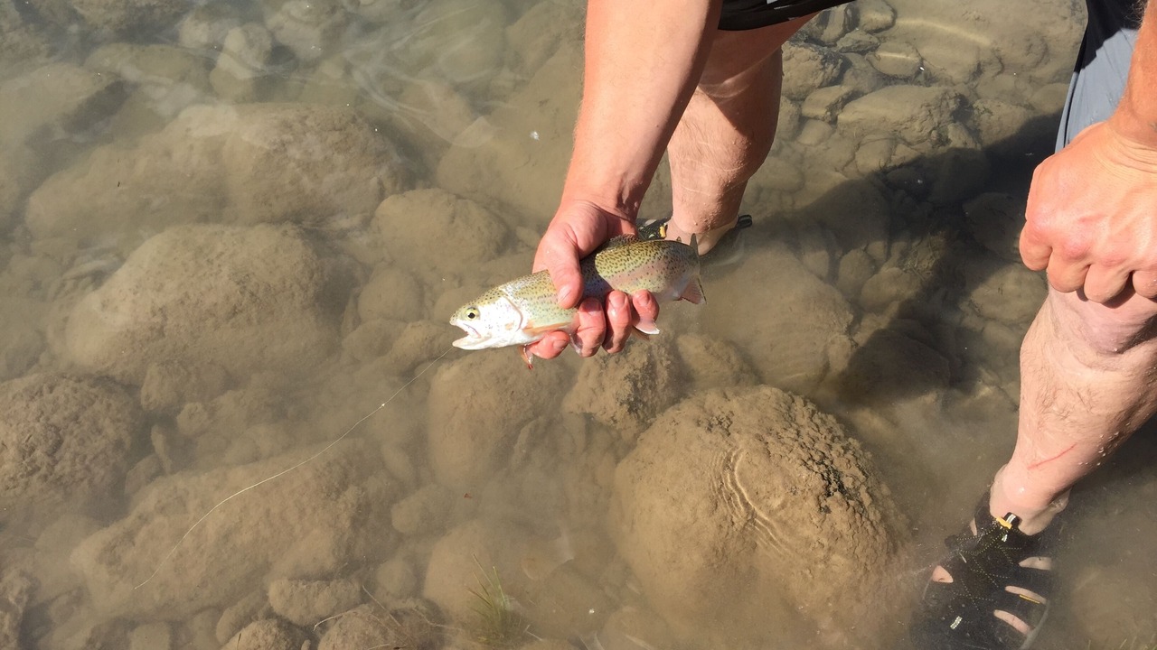 Photo of Others in West Glacier