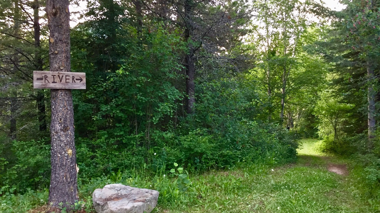 Photo of Others in West Glacier