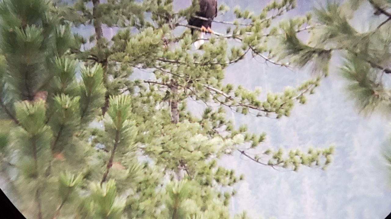 Photo of Others in Coeur d'Alene