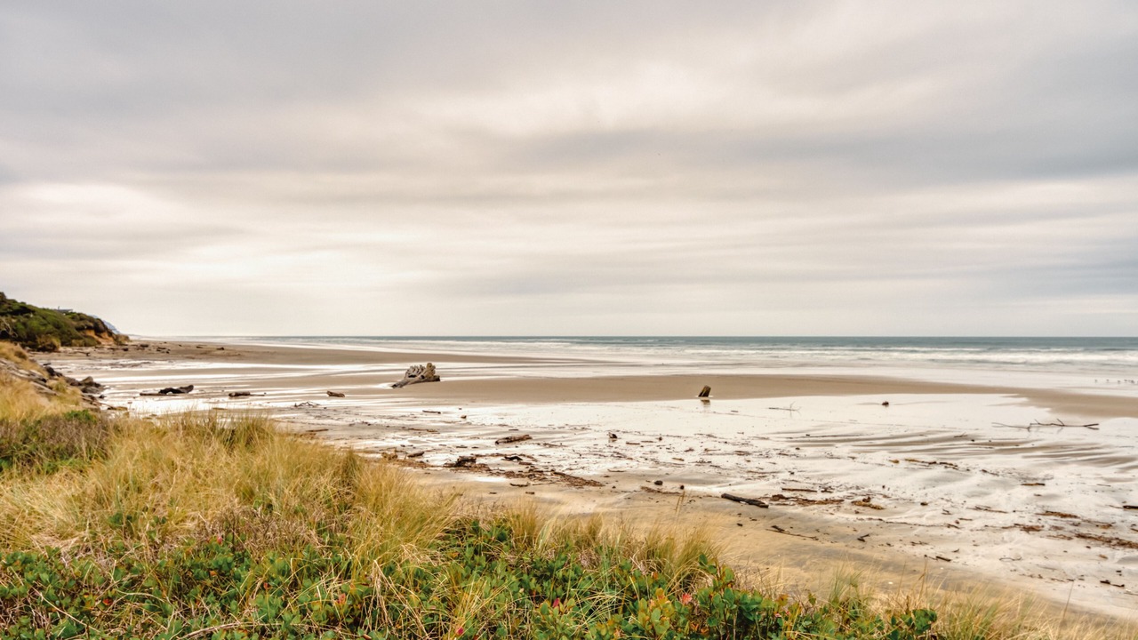 Photo of Others in Waldport
