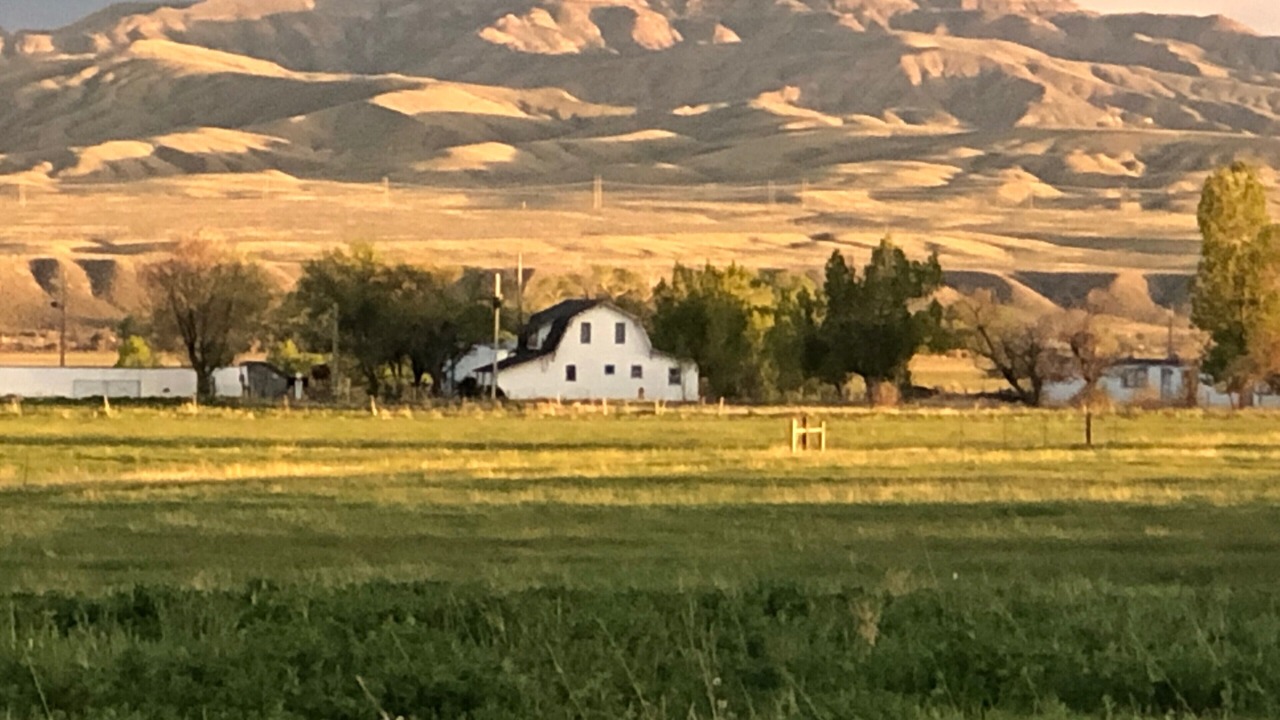 Photo of Outdoor in Ralston