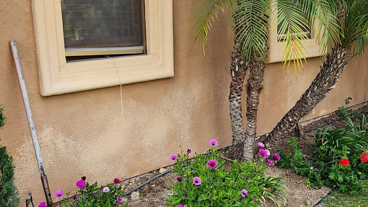 Photo of Outdoor in Rancho Penasquitos