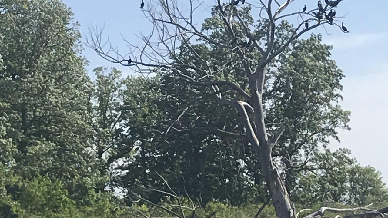Photo of Others in Lake City