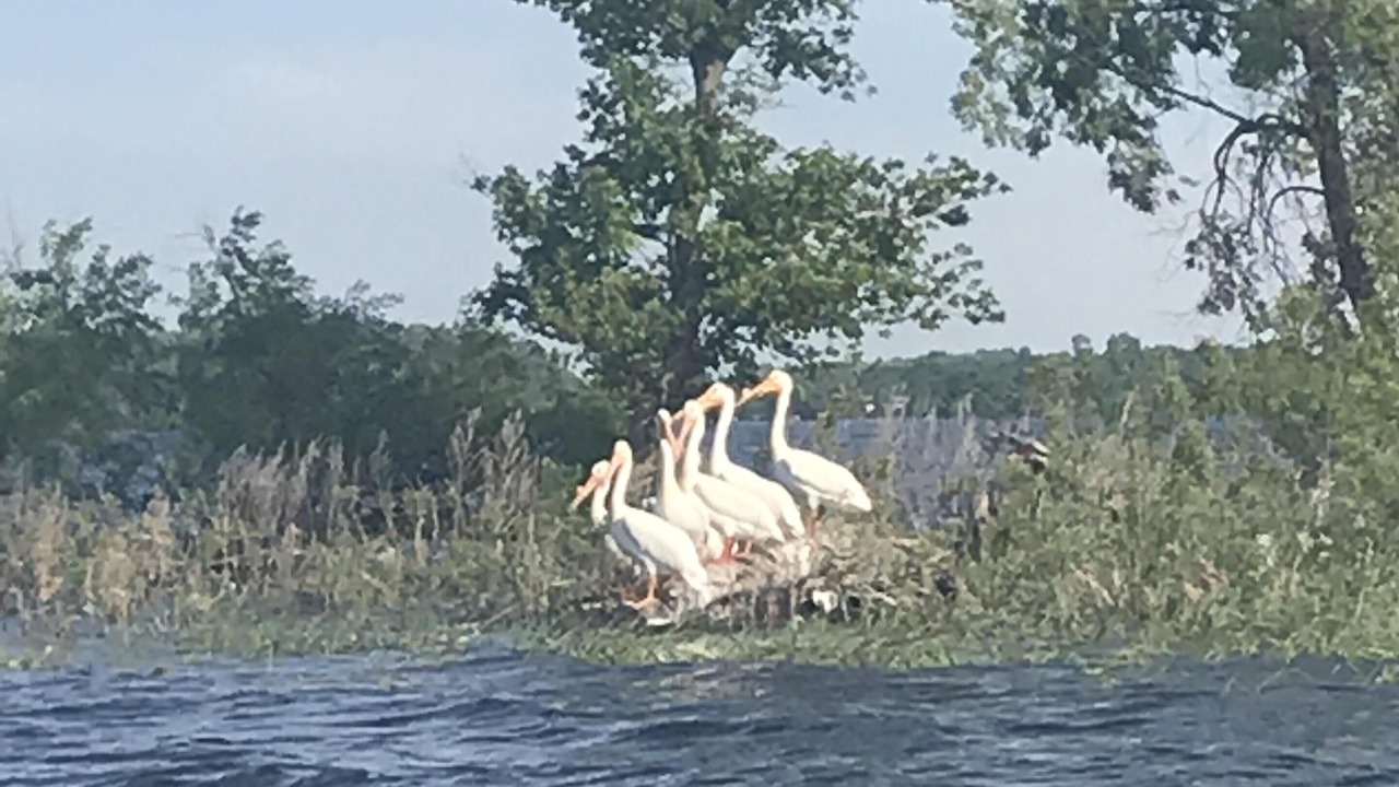Photo of Others in Lake City