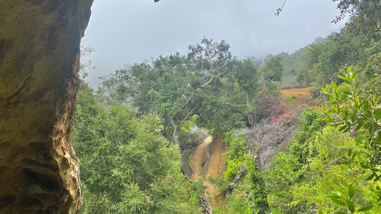 Photo of Others in Topanga