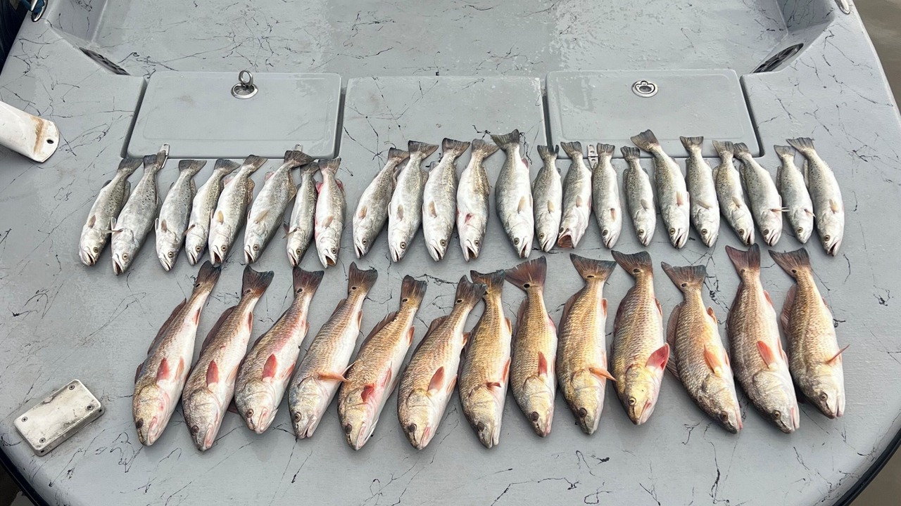 Photo of Others in Matagorda