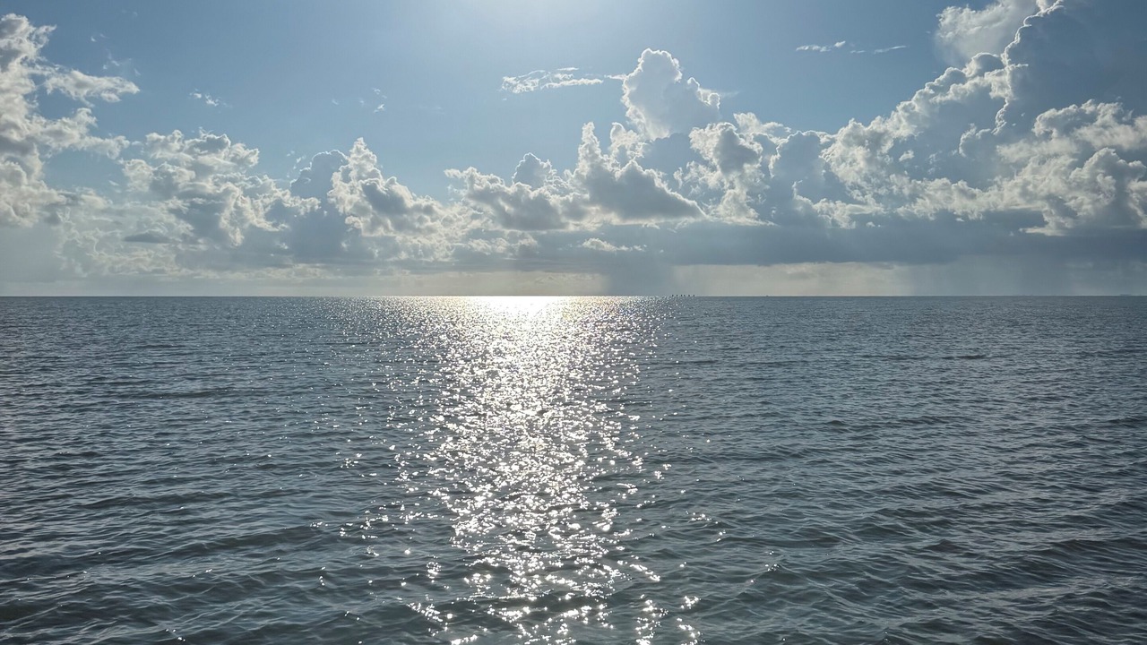 Photo of Others in Matagorda