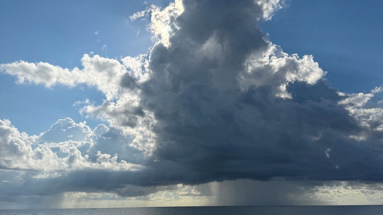 Photo of Others in Matagorda