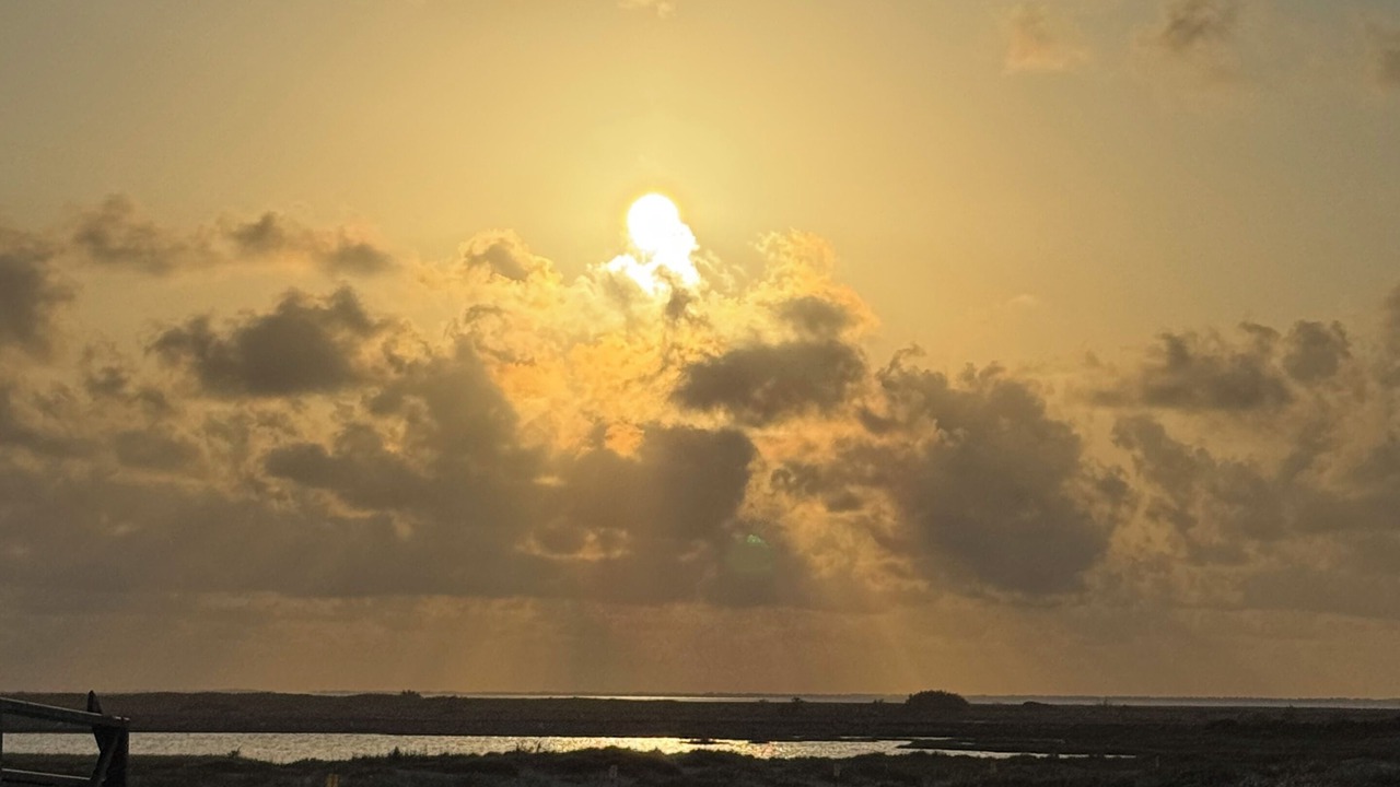 Photo of Others in Matagorda