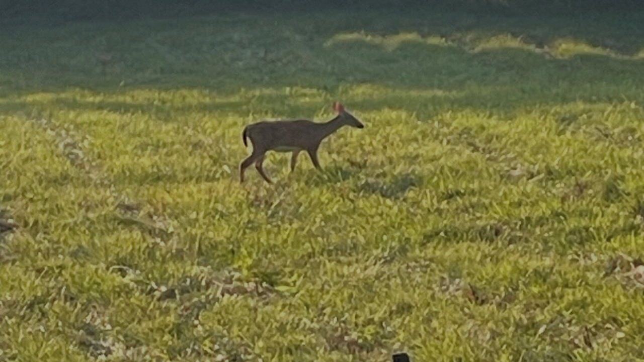 Photo of Others in Rock Hill