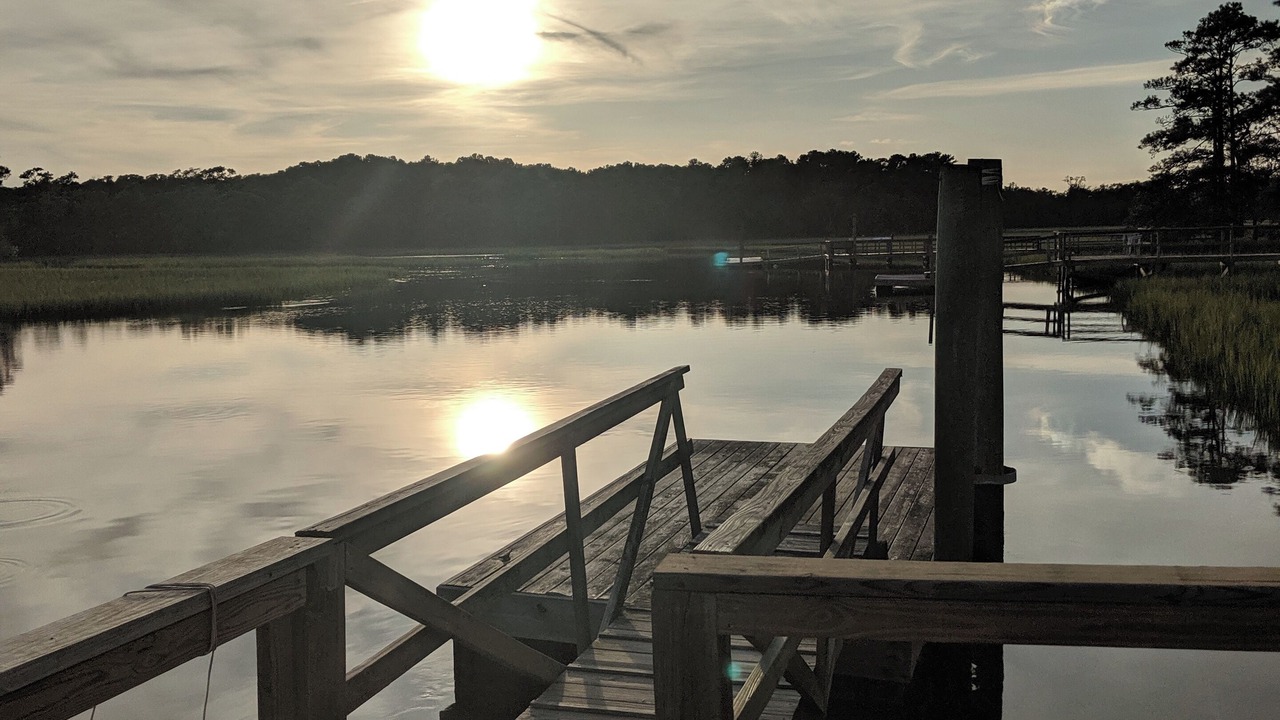Photo of Outdoor in Shallotte