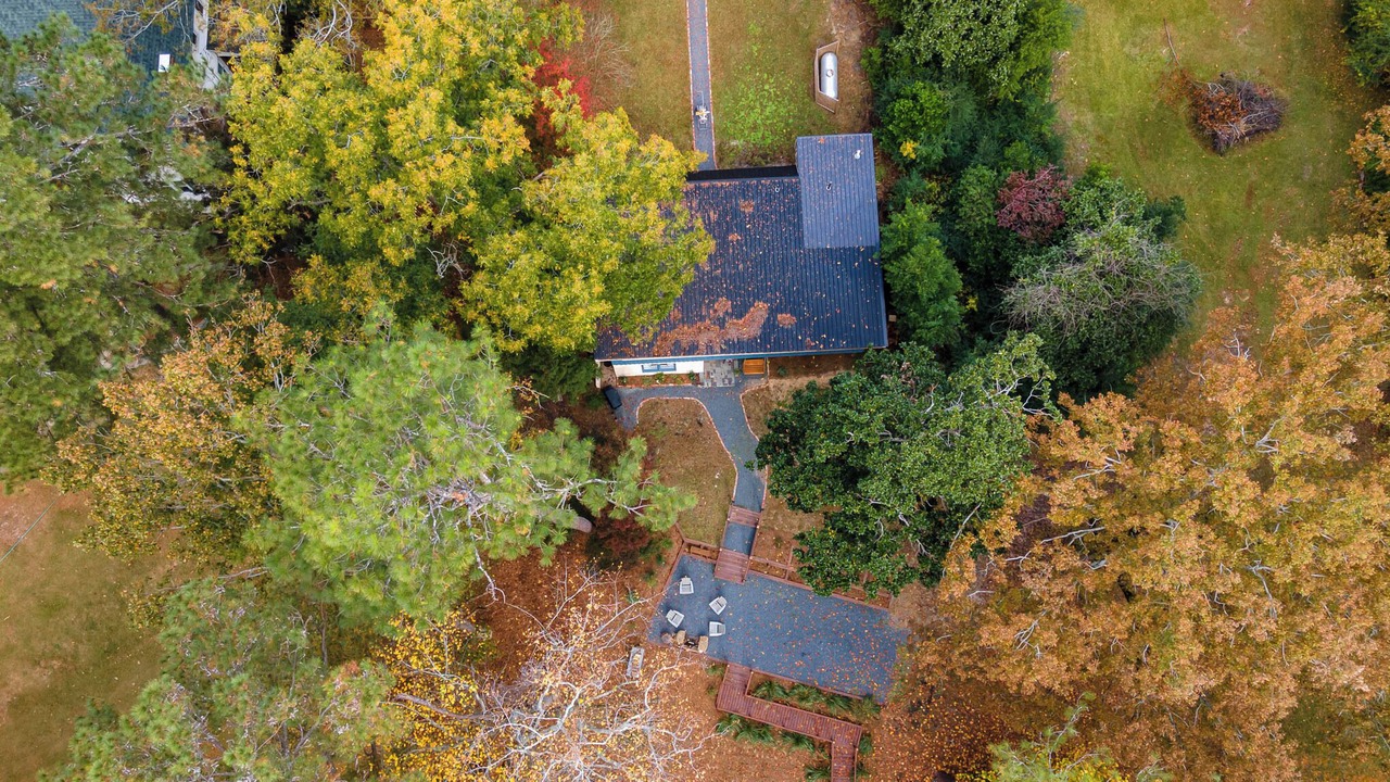 Photo of Outdoor in Lemon Springs