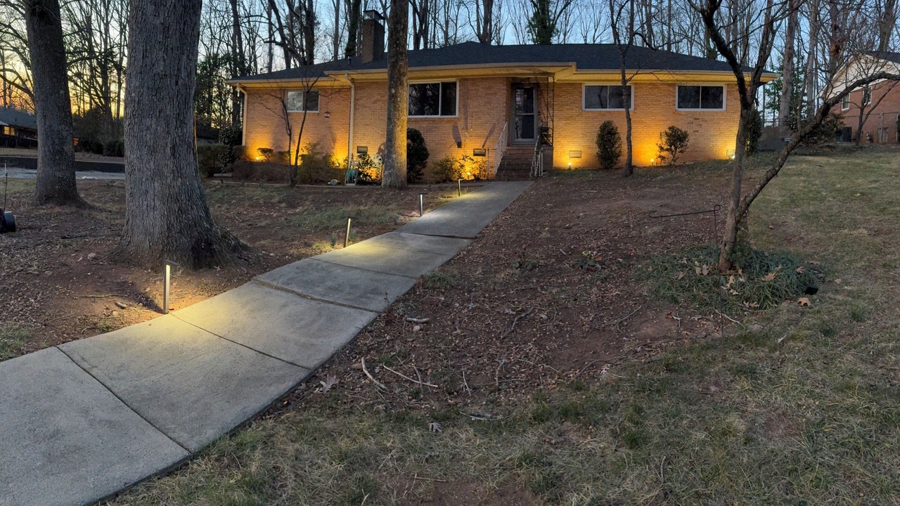 Photo of Outdoor in East Forest