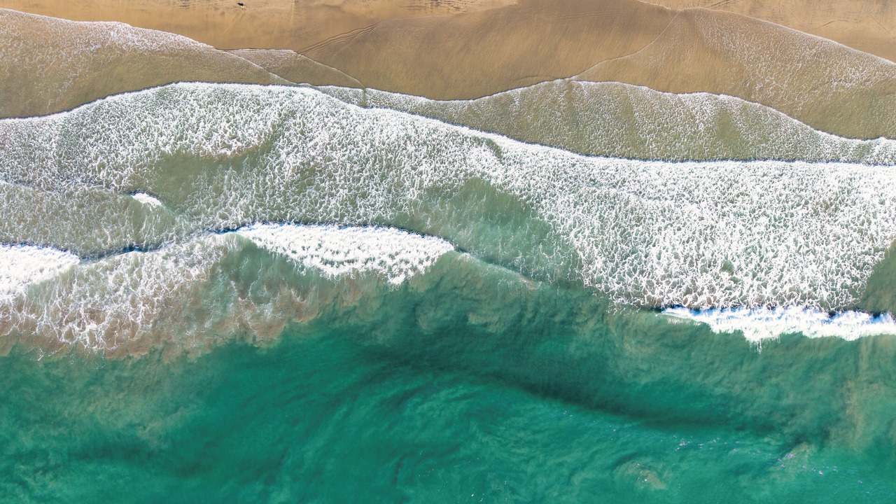 Photo of Others in South Oceanside