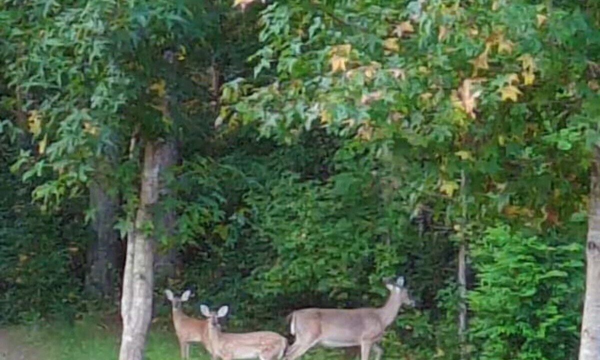 Photo of Others in Sanford