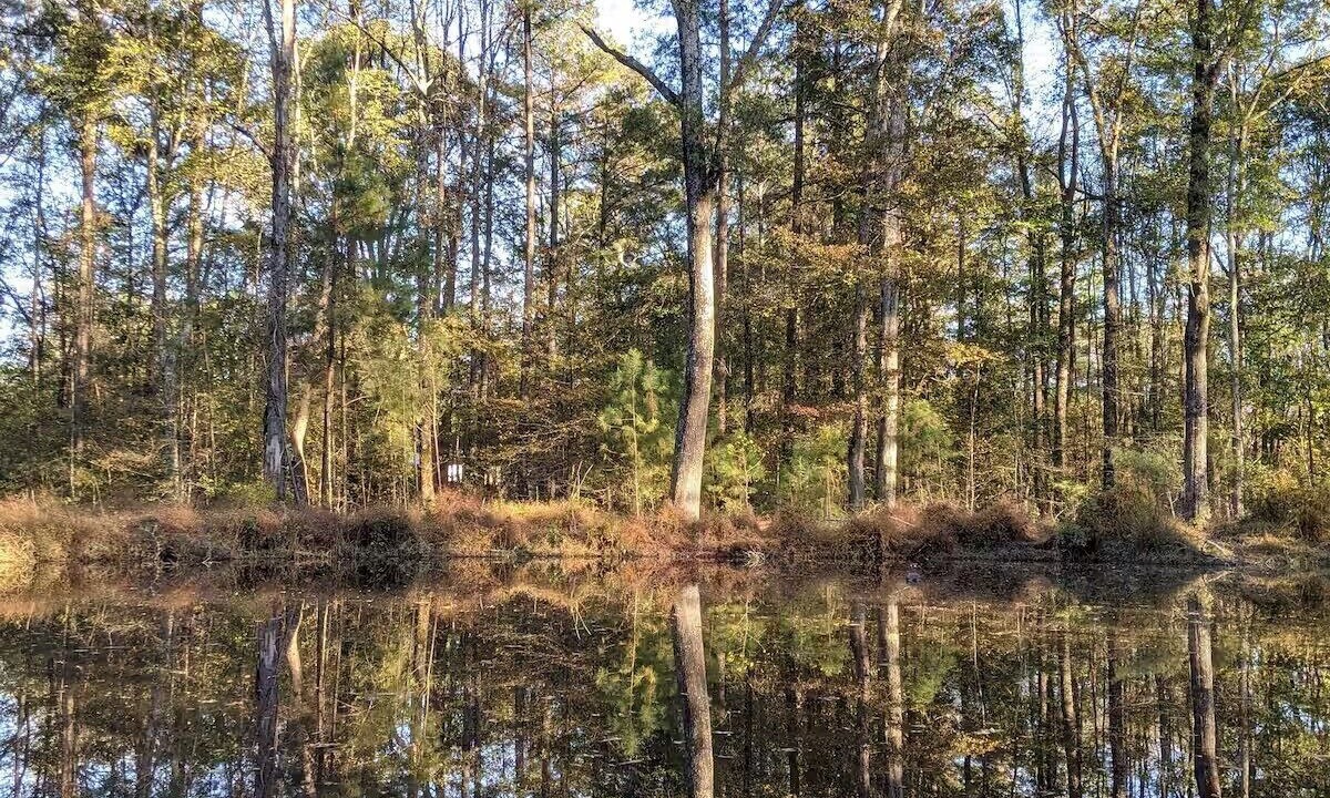 Photo of Others in Sanford