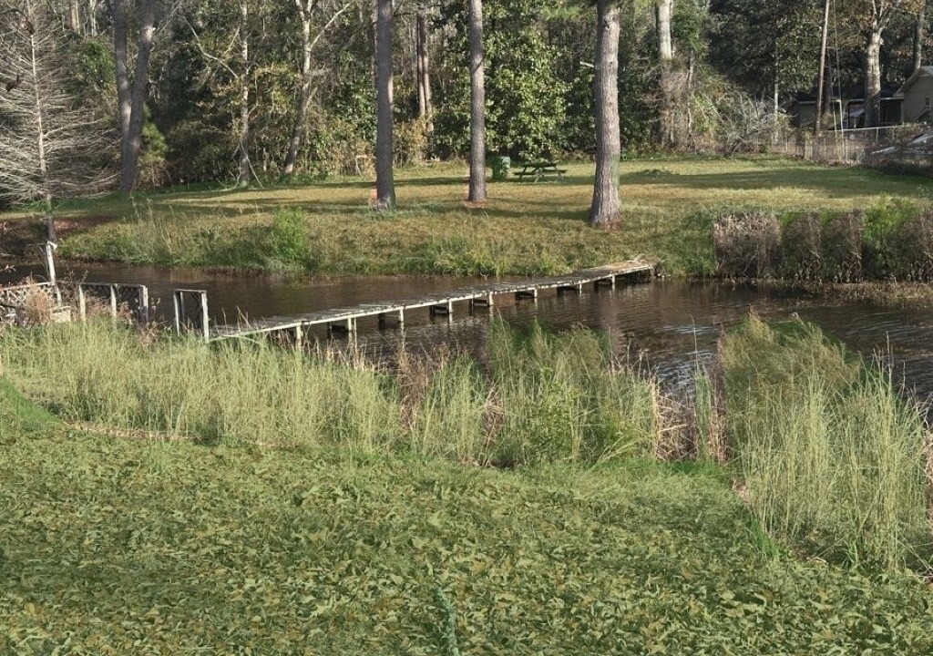 Photo of Others in Red Hill