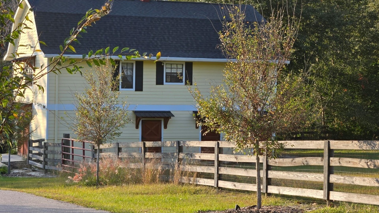 Photo of Outdoor in Mount Dora