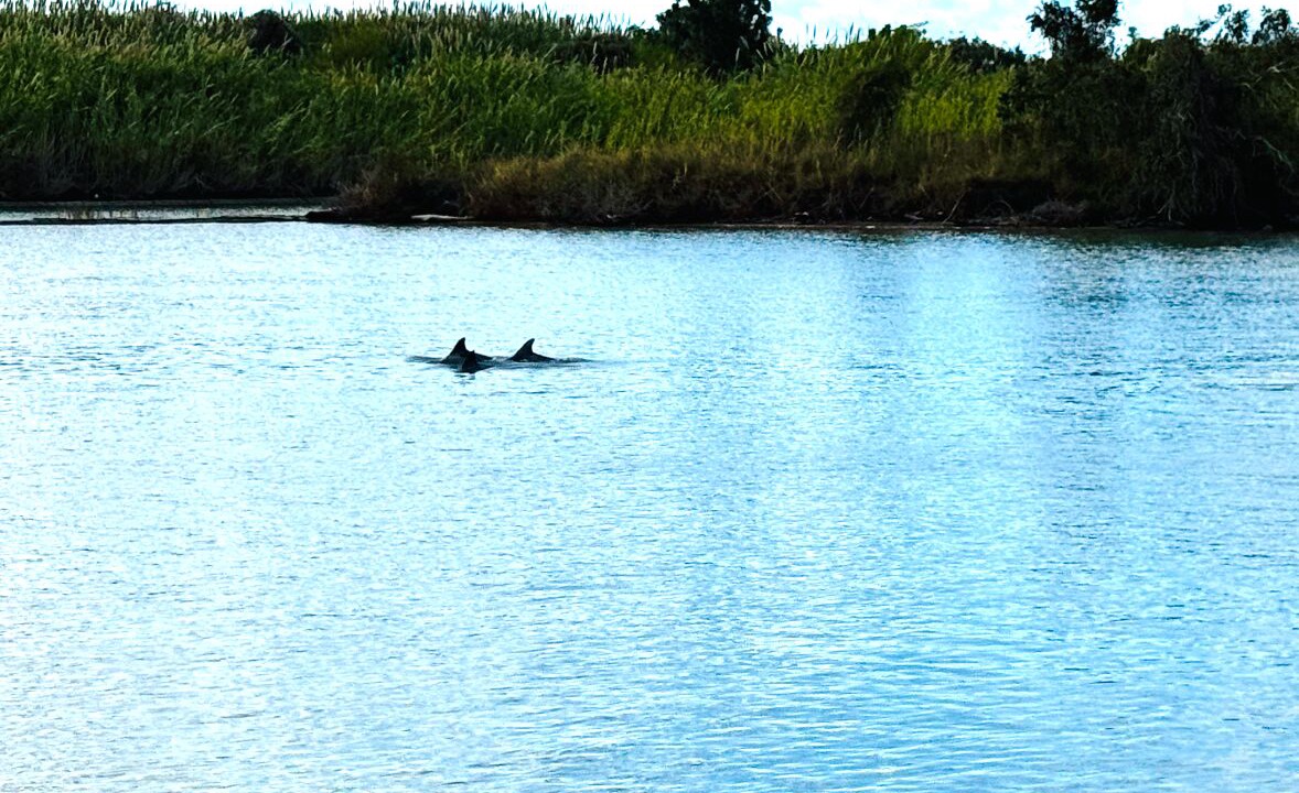 Photo of Others in Matagorda