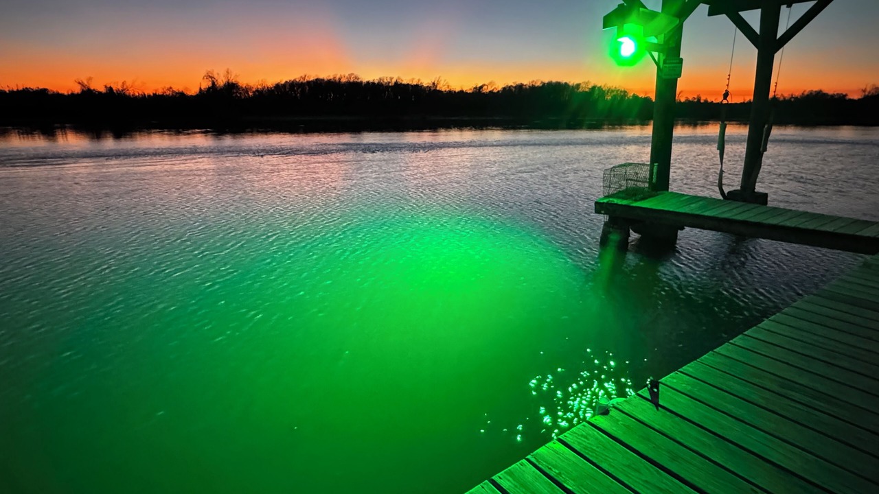 Photo of Others in Matagorda