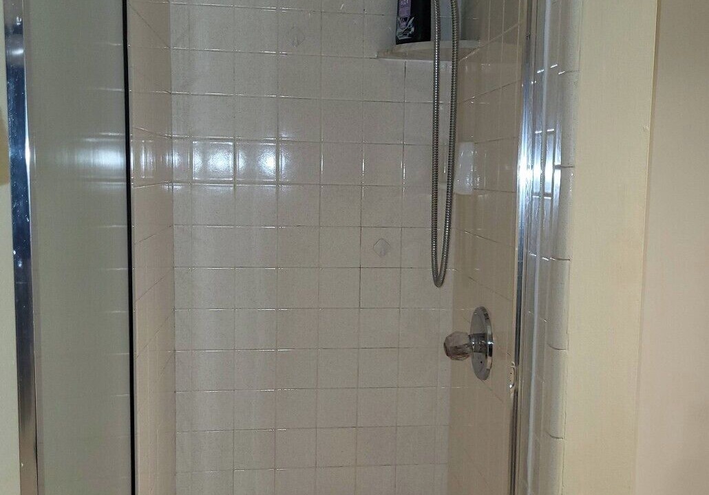 Photo of Bathroom in Commerce Township