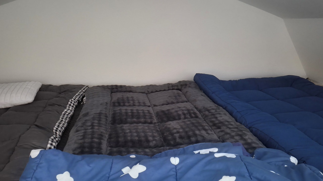 Photo of Bedroom in Alvin