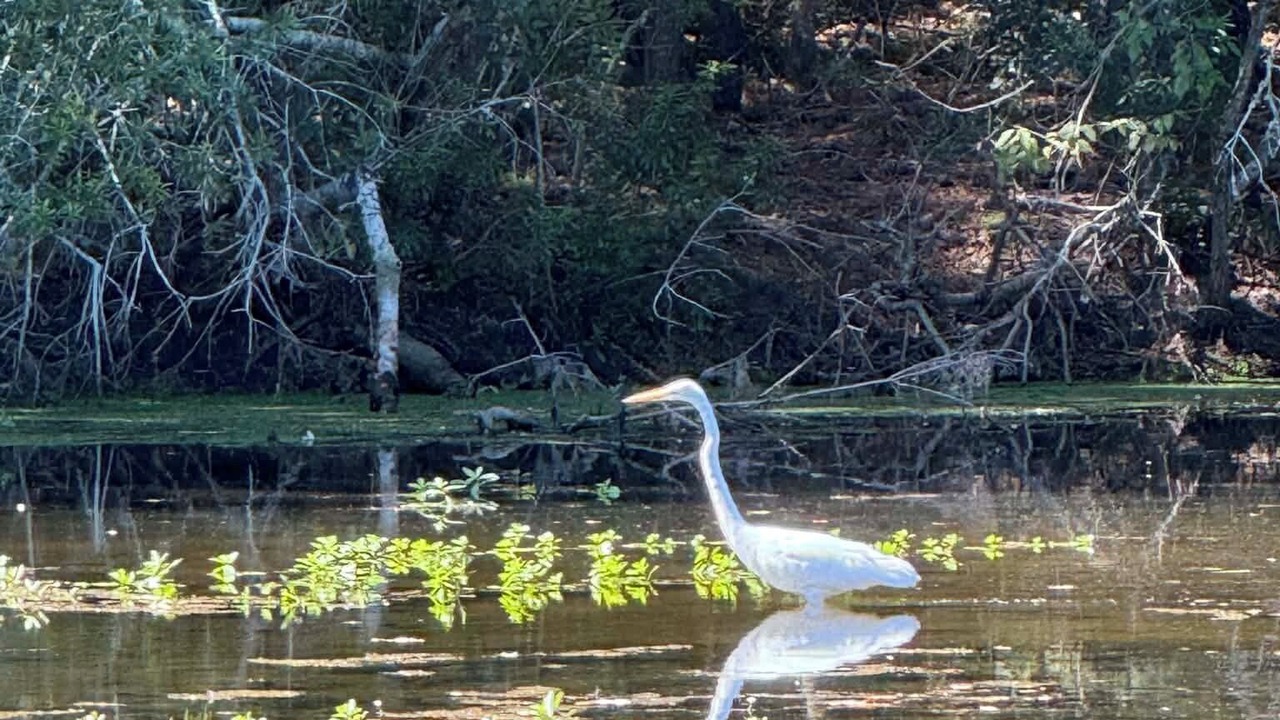 Photo of Others in Eutawville