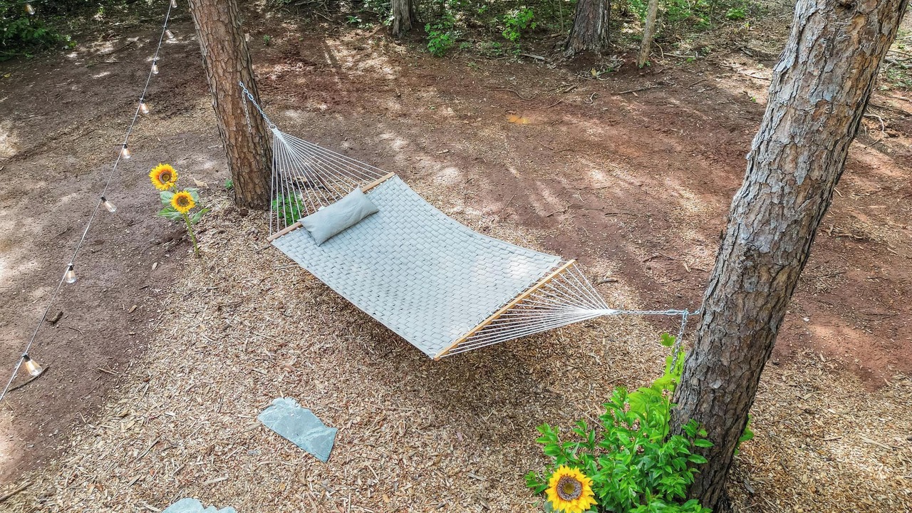 Photo of Outdoor in Huntersville