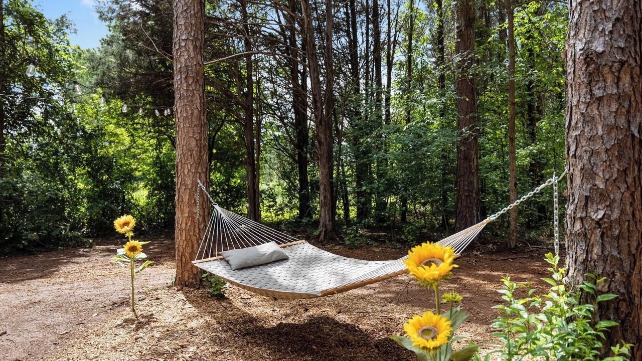 Photo of Outdoor in Huntersville