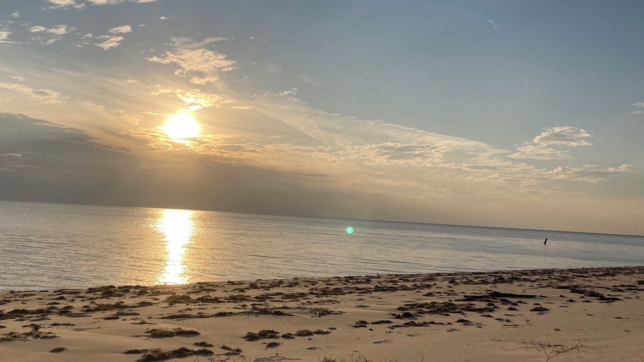 Photo of Others in Ocean Springs