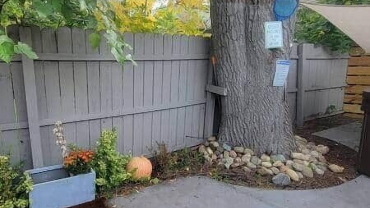 Photo of Others in Royal Oak