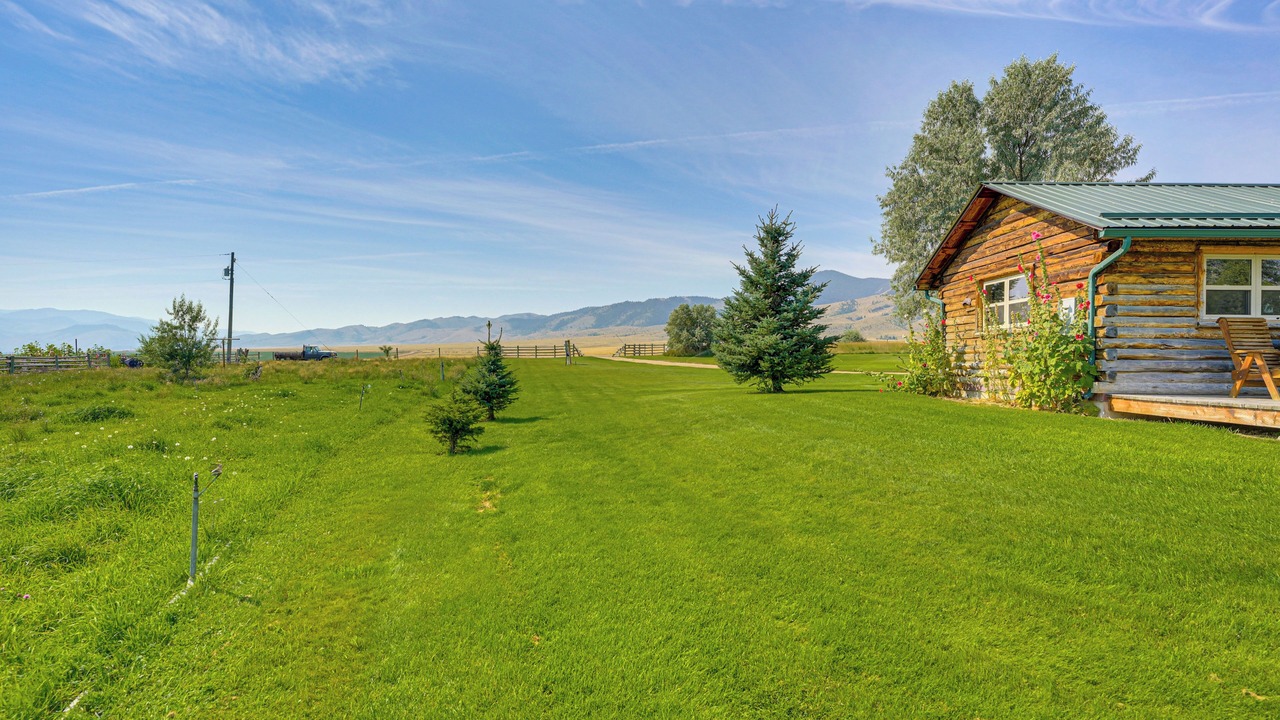 Photo of Outdoor in Alder