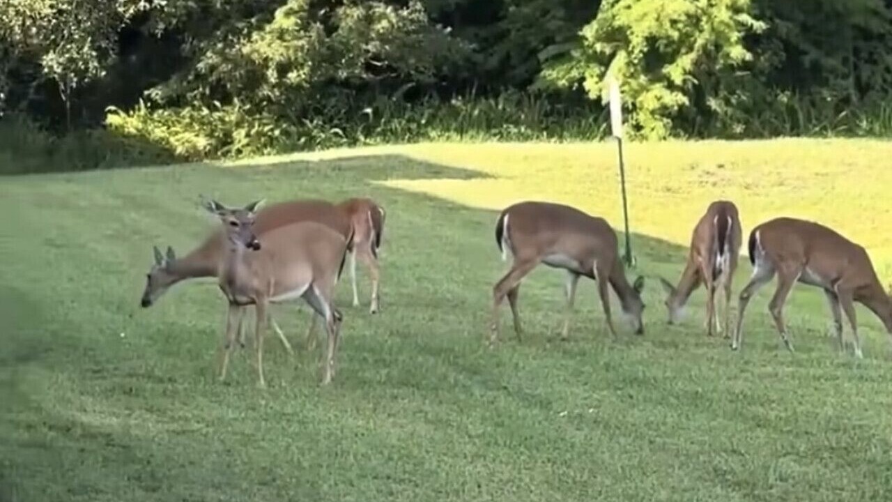Photo of Others in Everson