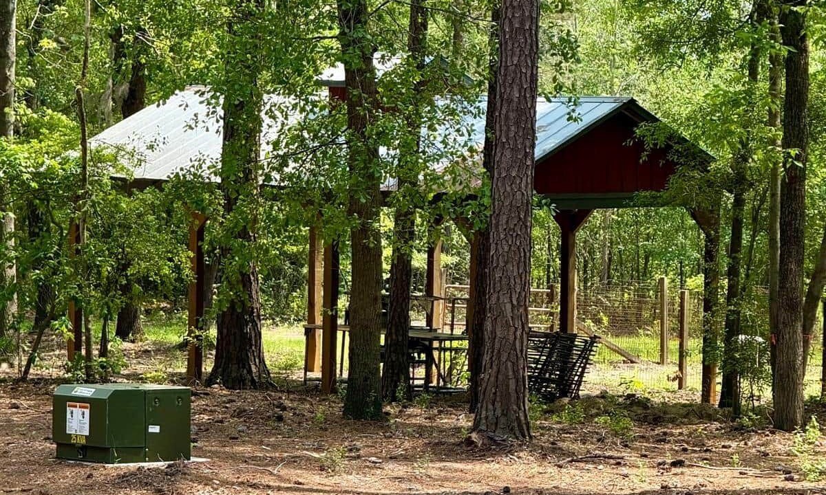 Photo of Outdoor in Burgaw