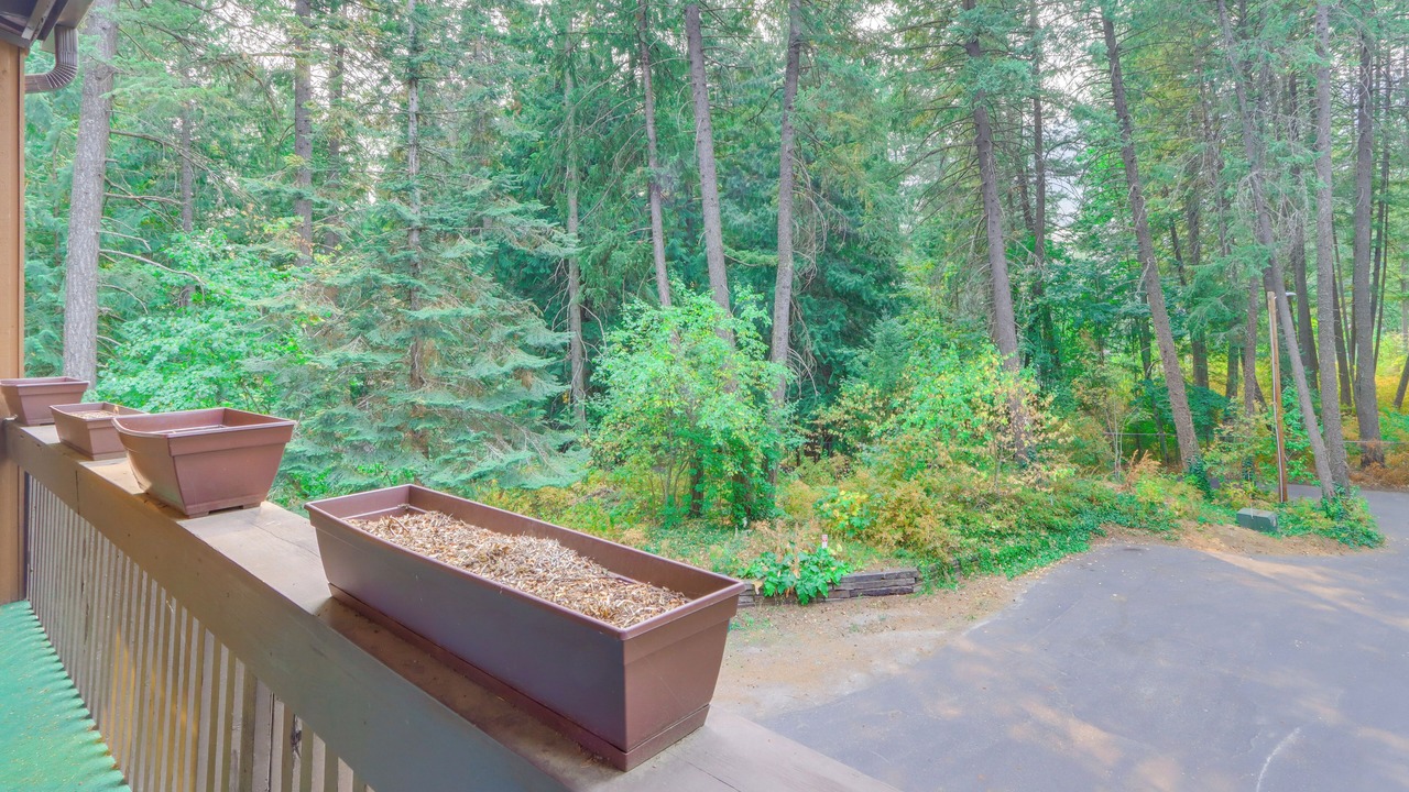 Photo of Outdoor in Rathdrum