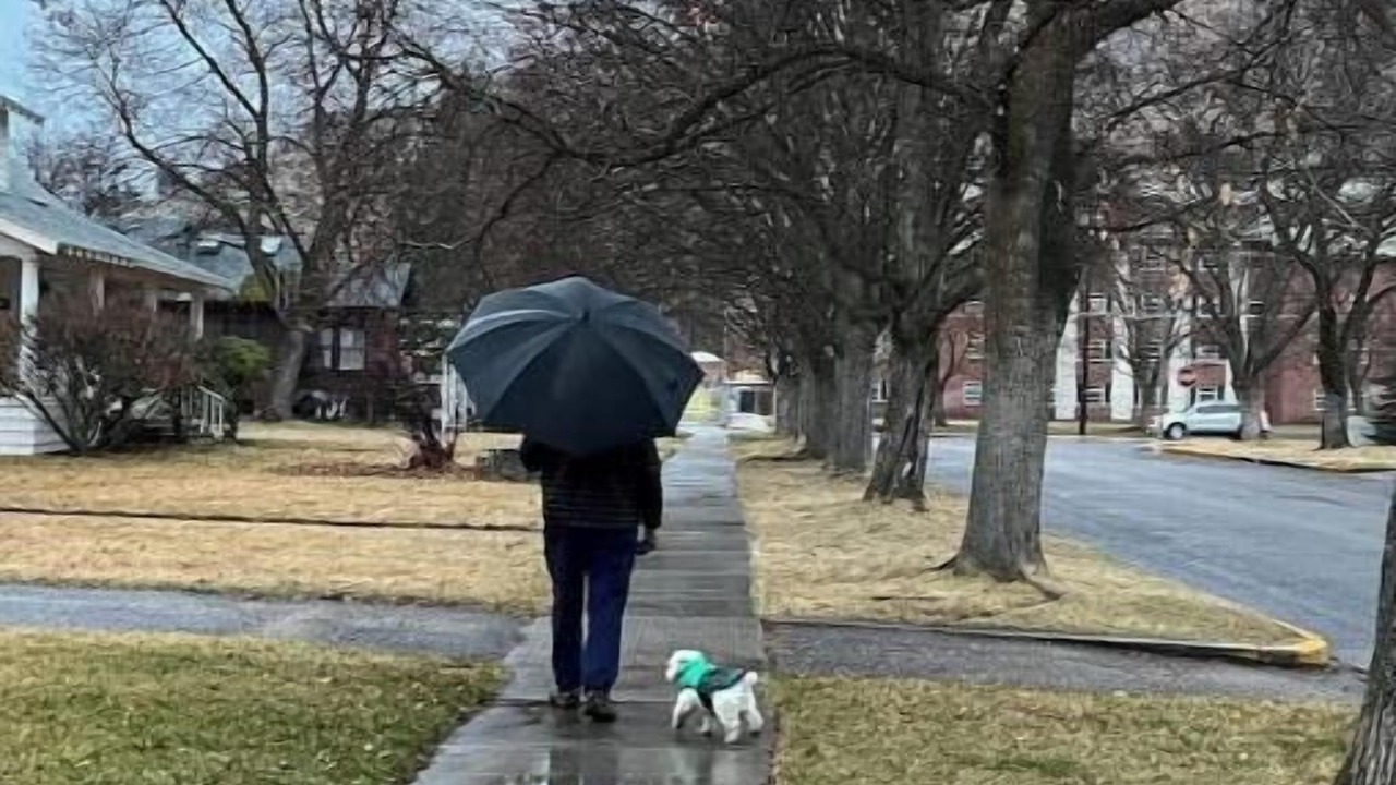 Photo of Outdoor in University District