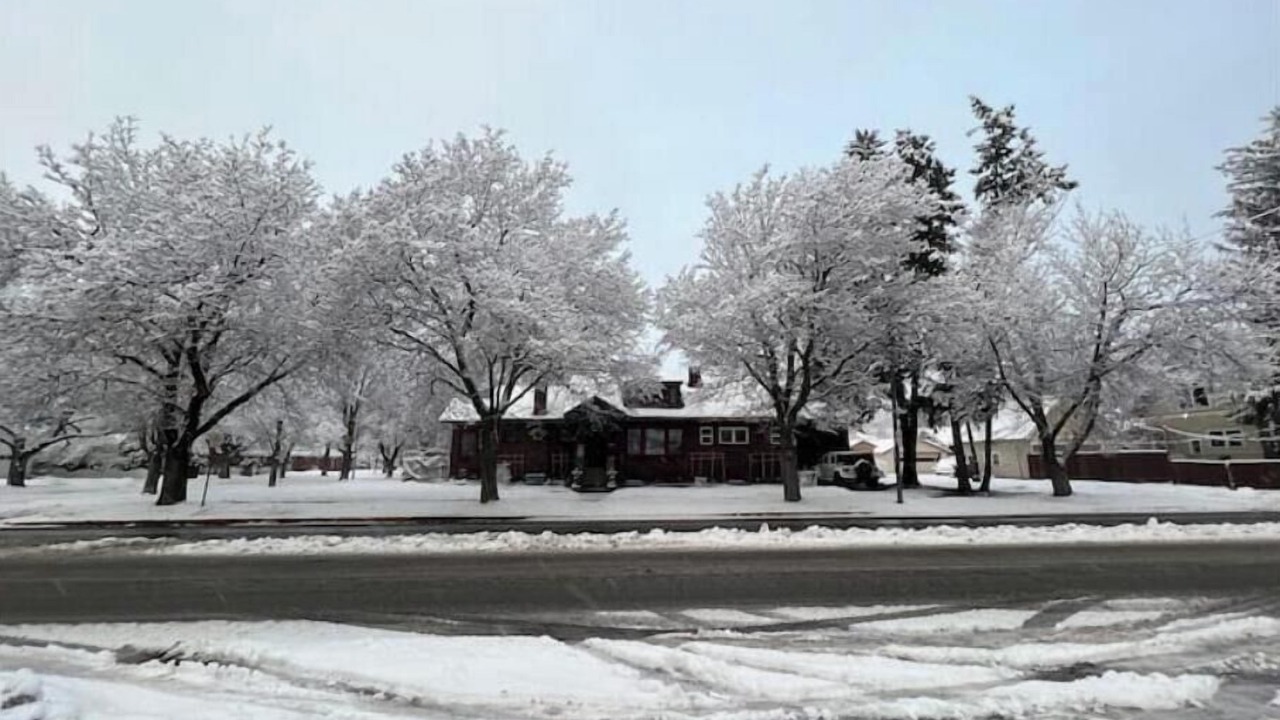 Photo of Outdoor in University District