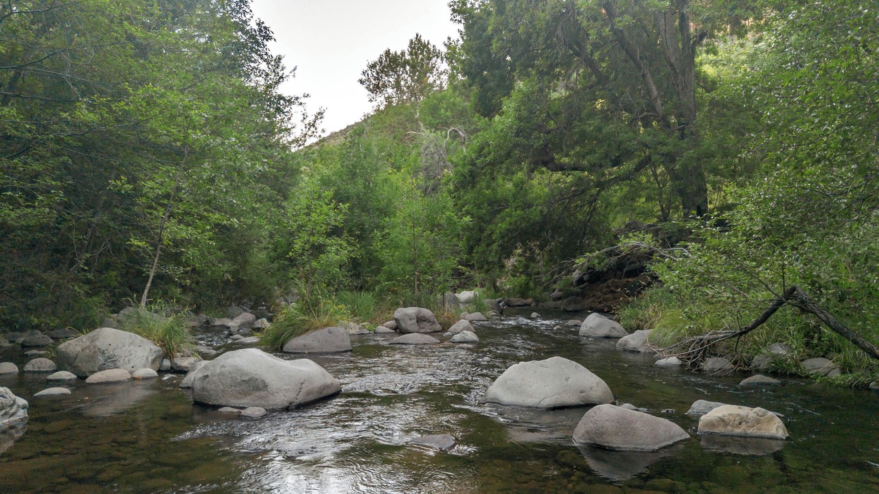Photo of Others in Sedona