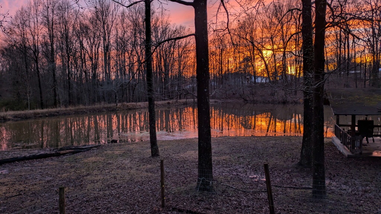 Photo of Outdoor in Archdale